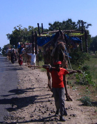 Nomads in Nanded